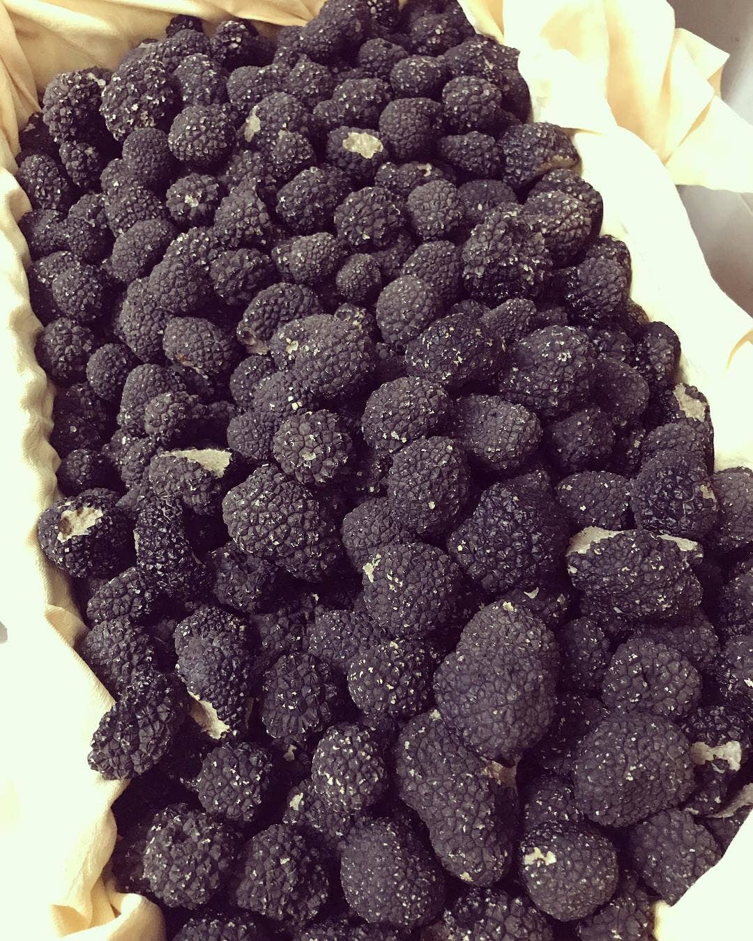 HELE SOMMER TRØFFEL - 20 gr